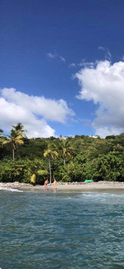 Location Gite Bungalow A 70M De La Plage Bouillante Zewnętrze zdjęcie
